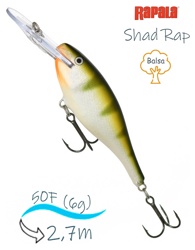 SR05 YP Shad Rap - фото
