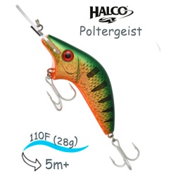Poltergeist-110 R26 - фото