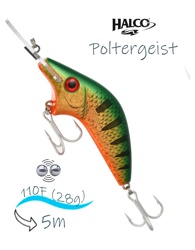 Poltergeist-110 R26 - фото