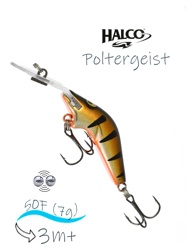 Poltergeist 50 R06 - фото