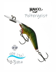 Poltergeist 50 R16 - фото