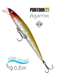 Agarron 125 F-SR-A15 - фото