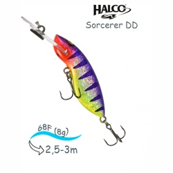 Sorcerer  68 DD-R24 - фото