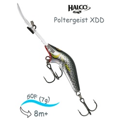 Poltergeist 50 XDD R25 - фото