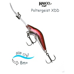 Poltergeist 50 XDD H60 - фото