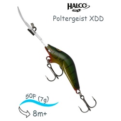 Poltergeist 50 XDD R16 - фото