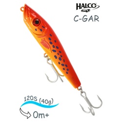 C-GAR 120 R09 - фото