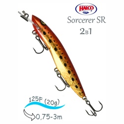 Sorcerer 125 SR-H70 - фото