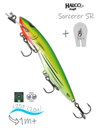Sorcerer 125 SR-H81 (Glo) - фото