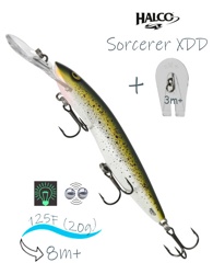 Sorcerer 125 XDD-R17 (Glo) - фото