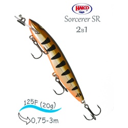 Sorcerer 125 SR-R06 - фото