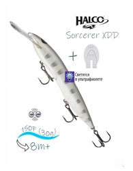 Sorcerer 150 XDD-H91 (Glo) - фото