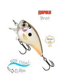 BXB03 CUP Brat - фото