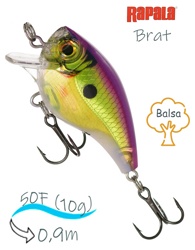 BXB03 ROC Brat - фото