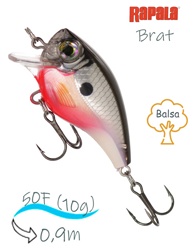 BXB03 S Brat - фото