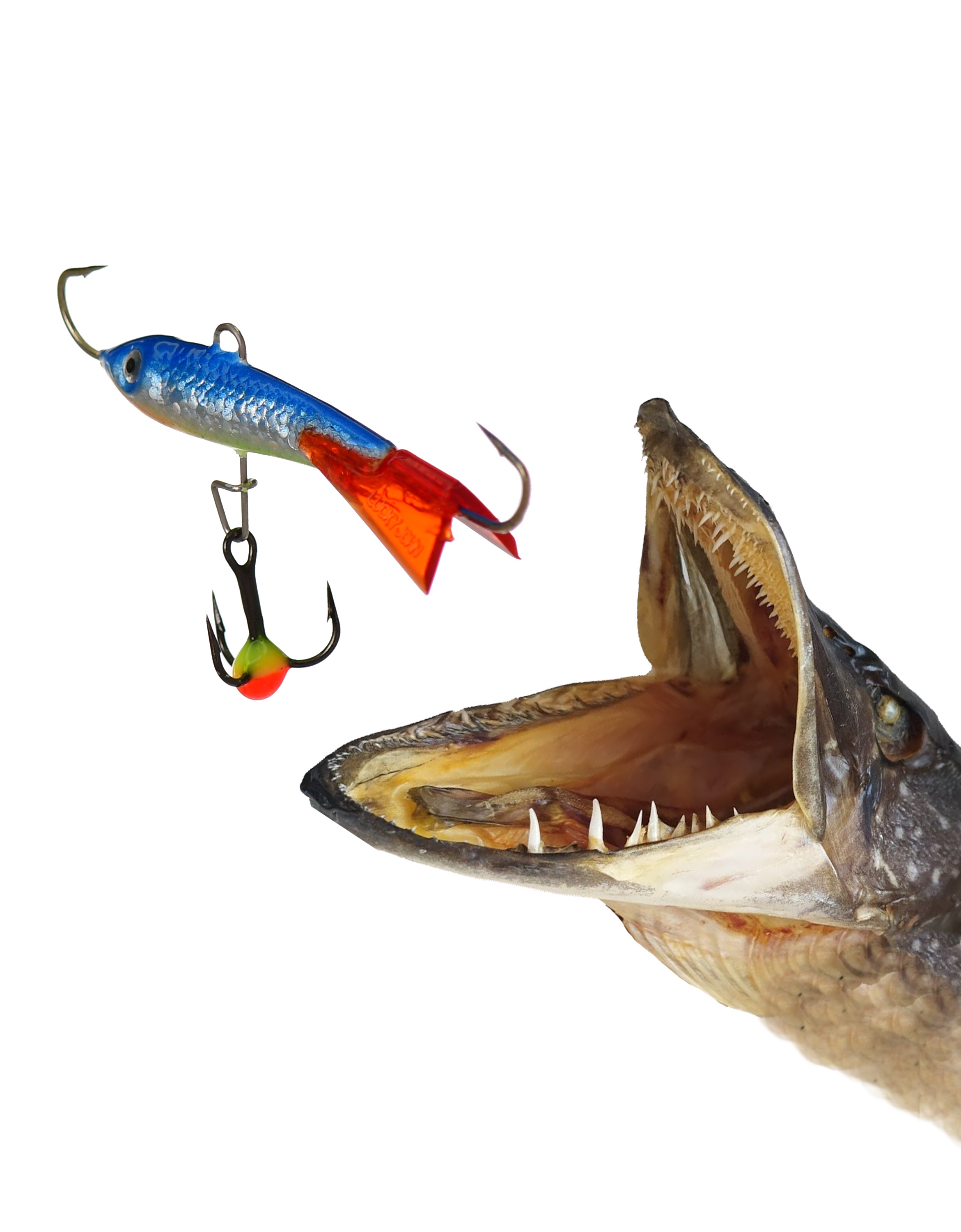 Classic 4-065HRT - фото2