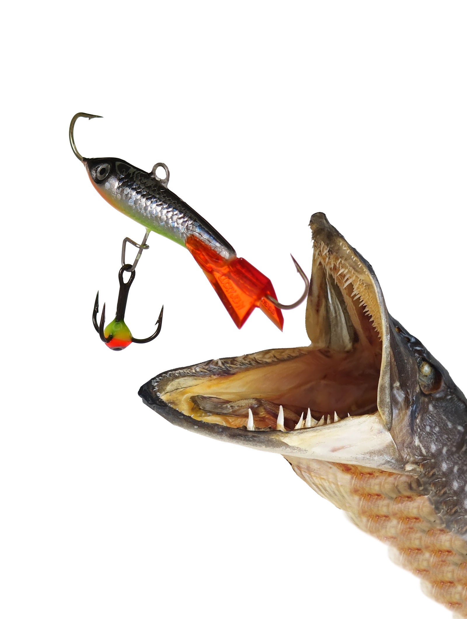 Classic 5-69HRT - фото2