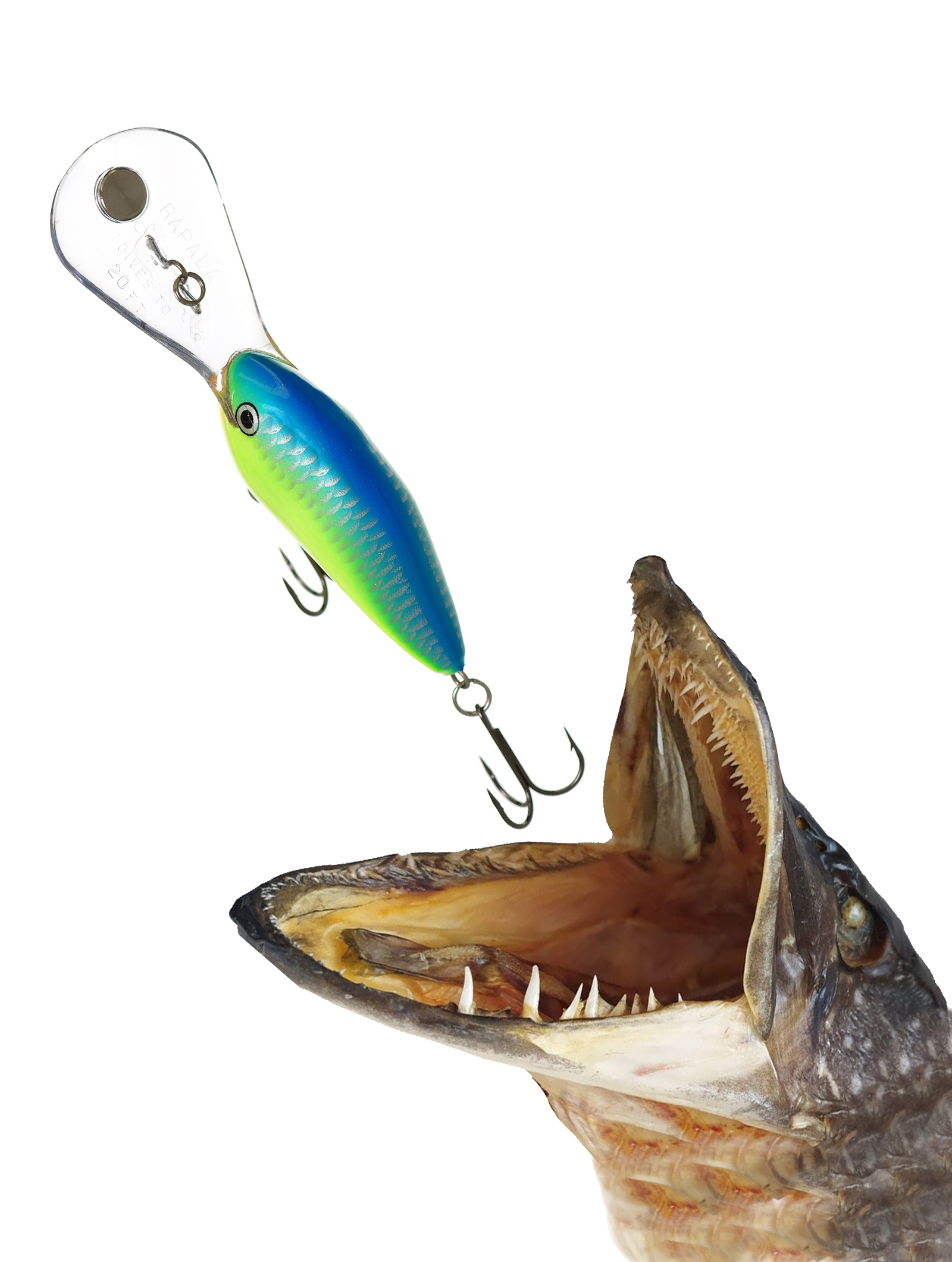 DTMSS20 CRSD - фото2