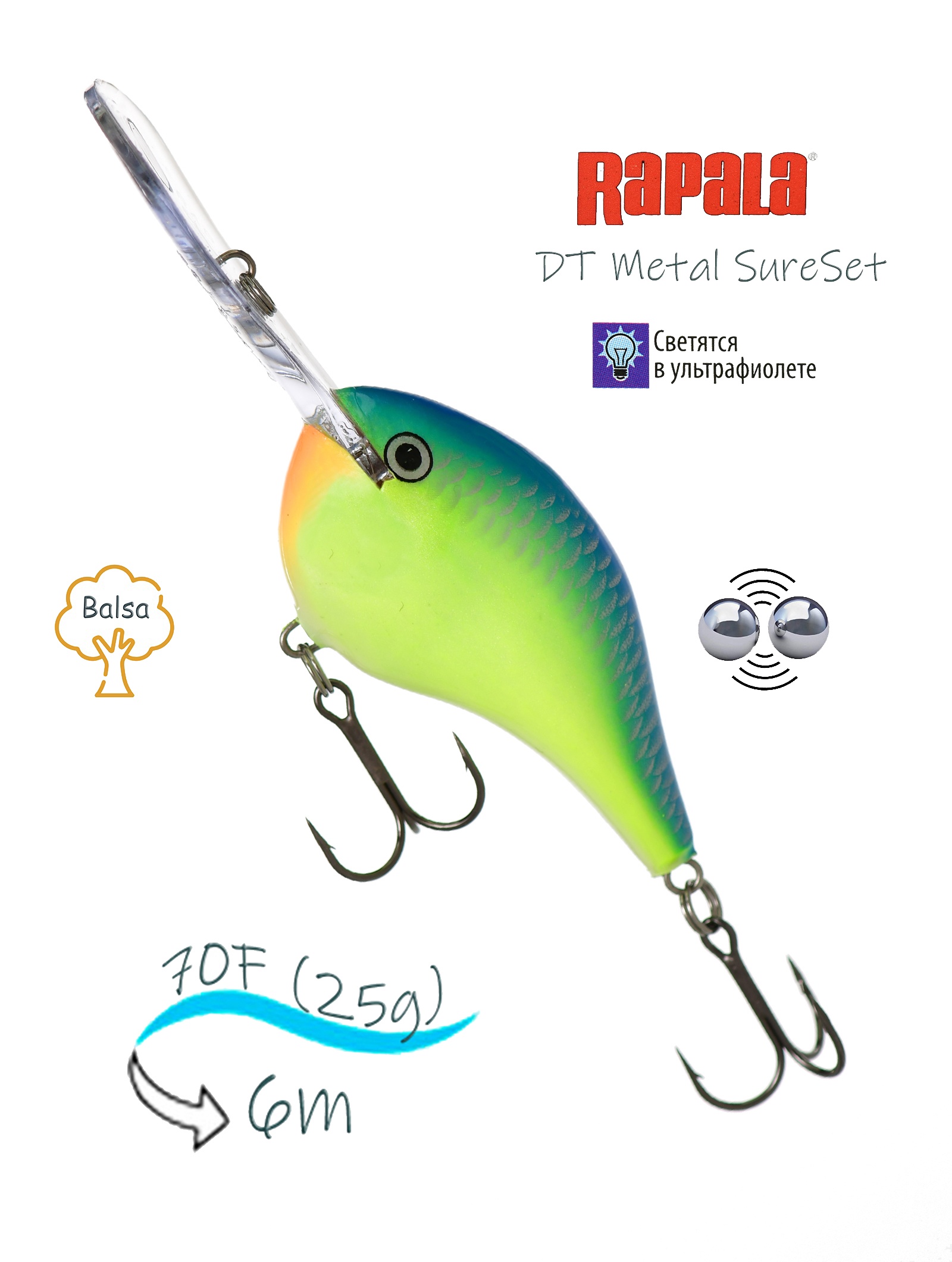 DTMSS20 CRSD - фото