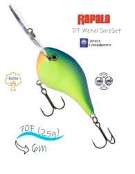 DTMSS20 CRSD - фото