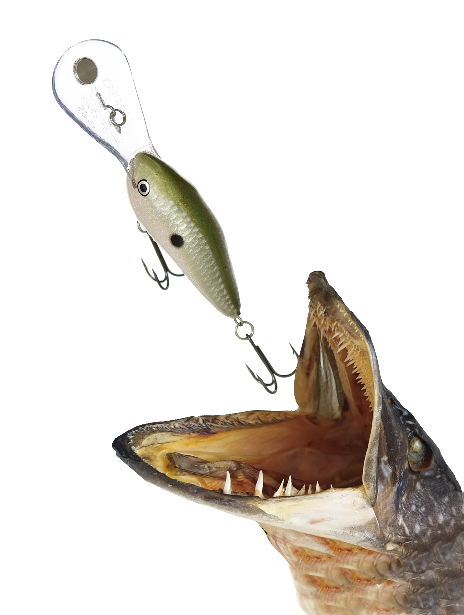 DTMSS20 PGS - фото2