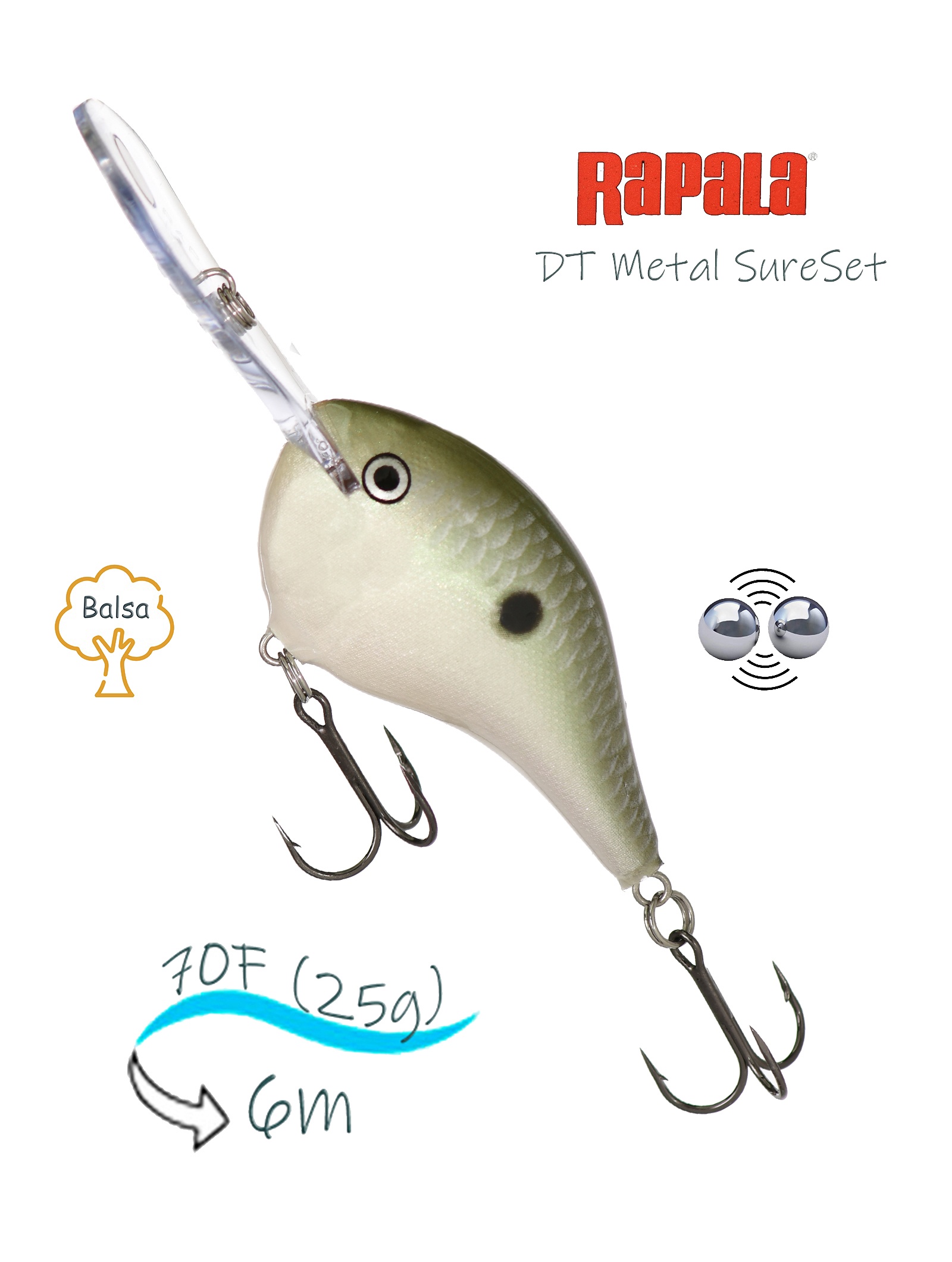 DTMSS20 PGS - фото