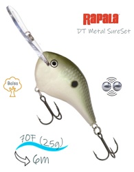 DTMSS20 PGS - фото