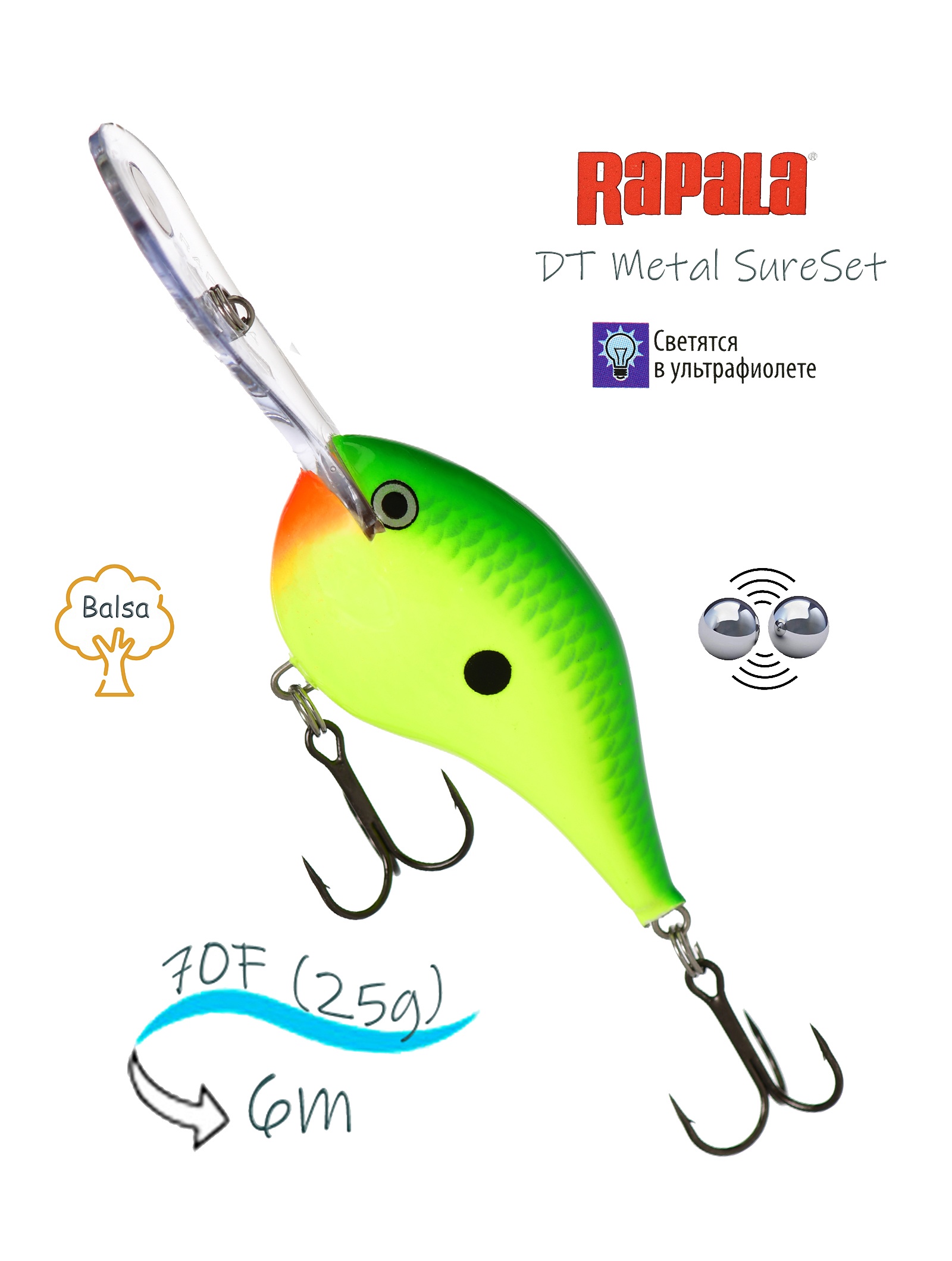 DTMSS20 CTL - фото