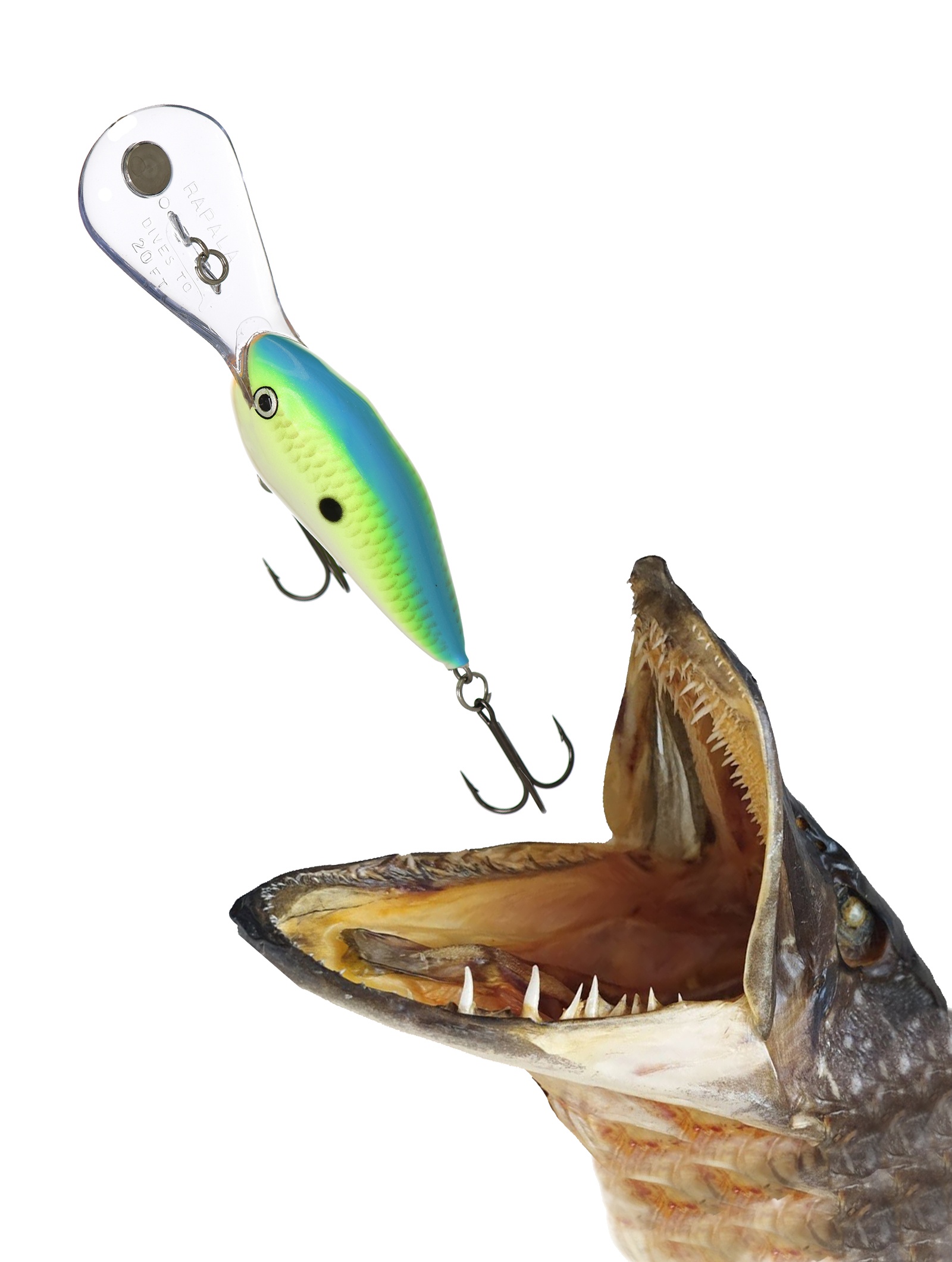 DTMSS20 CTSD - фото2