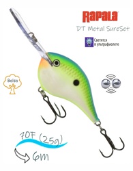 DTMSS20 CTSD - фото