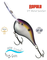 DTMSS20 BGSD - фото