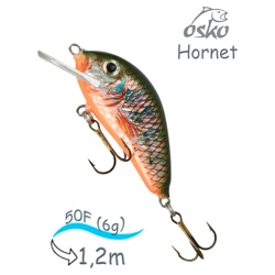 OFH05-09 Hornet FL - фото