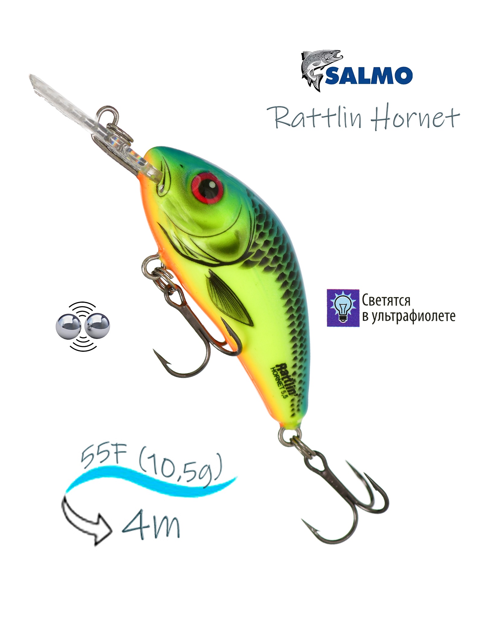 QRH028 Rattlin Hornet RH-055FL-CHB - фото