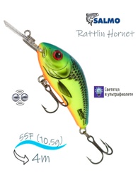 QRH028 Rattlin Hornet RH-055FL-CHB - фото