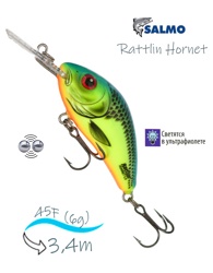 QRH004 Rattlin Hornet RH-045FL-CHB - фото