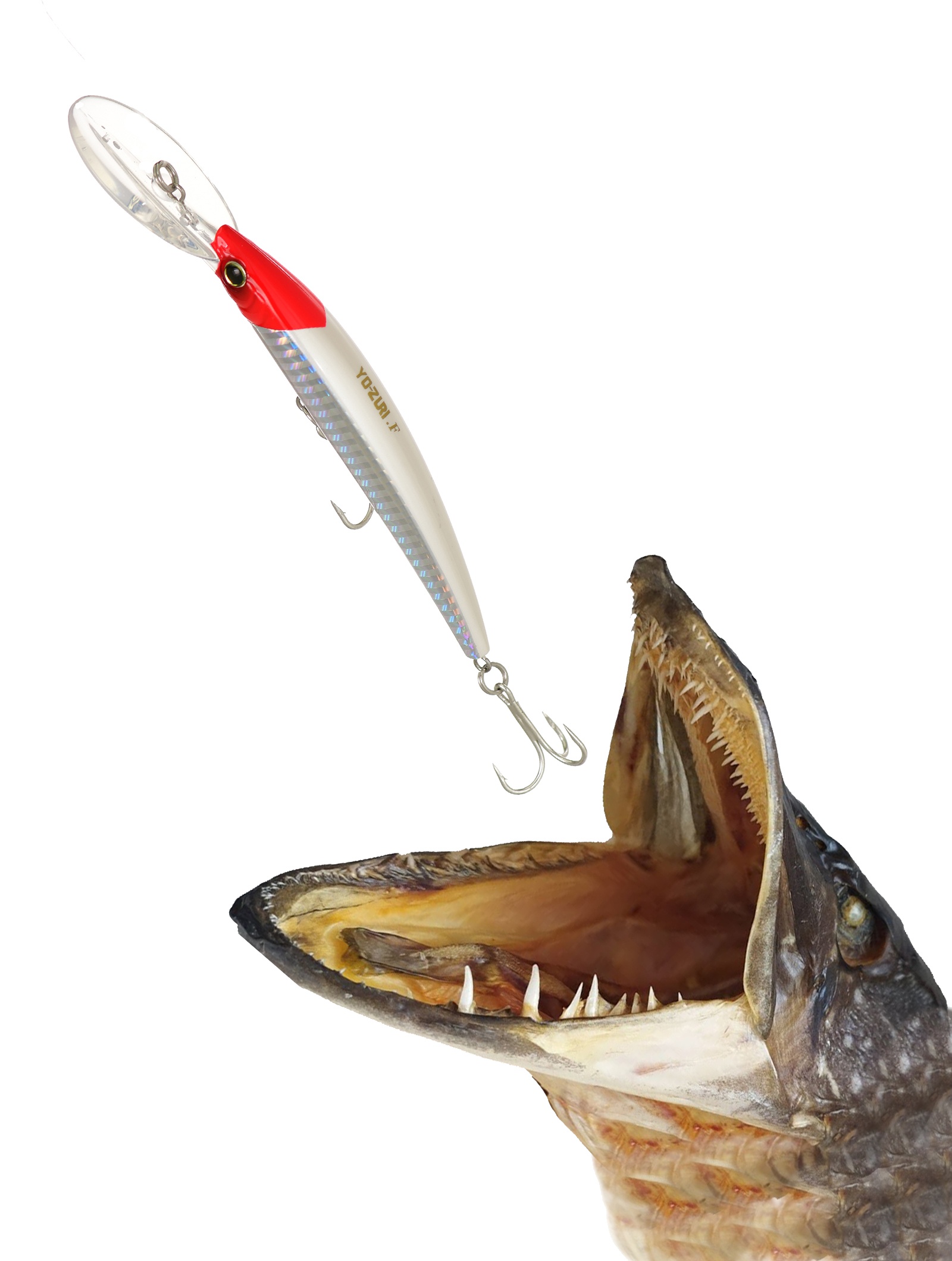 Crystal Minnow DD R-539 GHRH - фото3