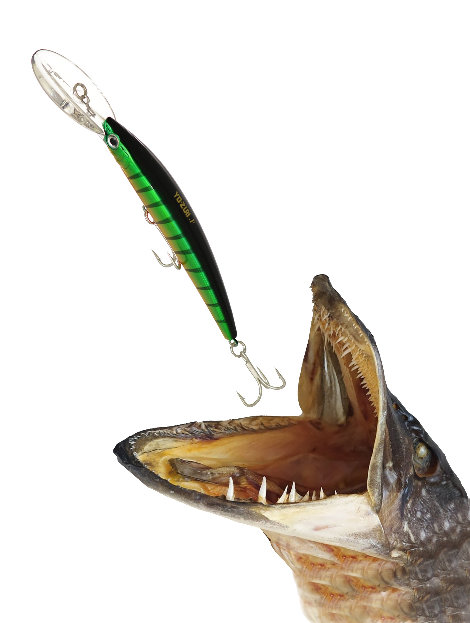 Crystal Minnow DD R-539 PC - фото2