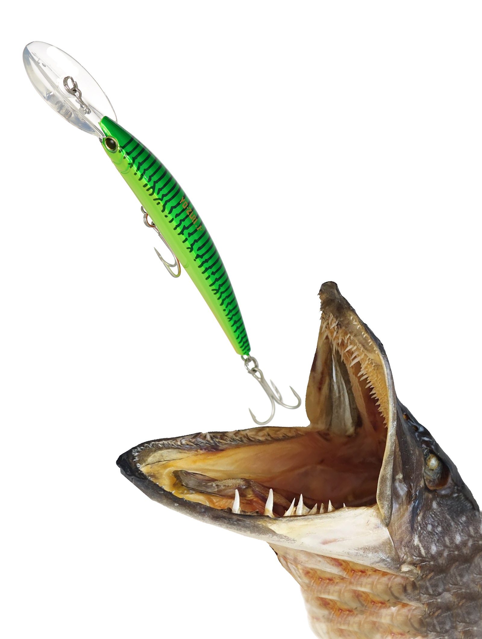 Crystal Minnow DD R-540 HT - фото2