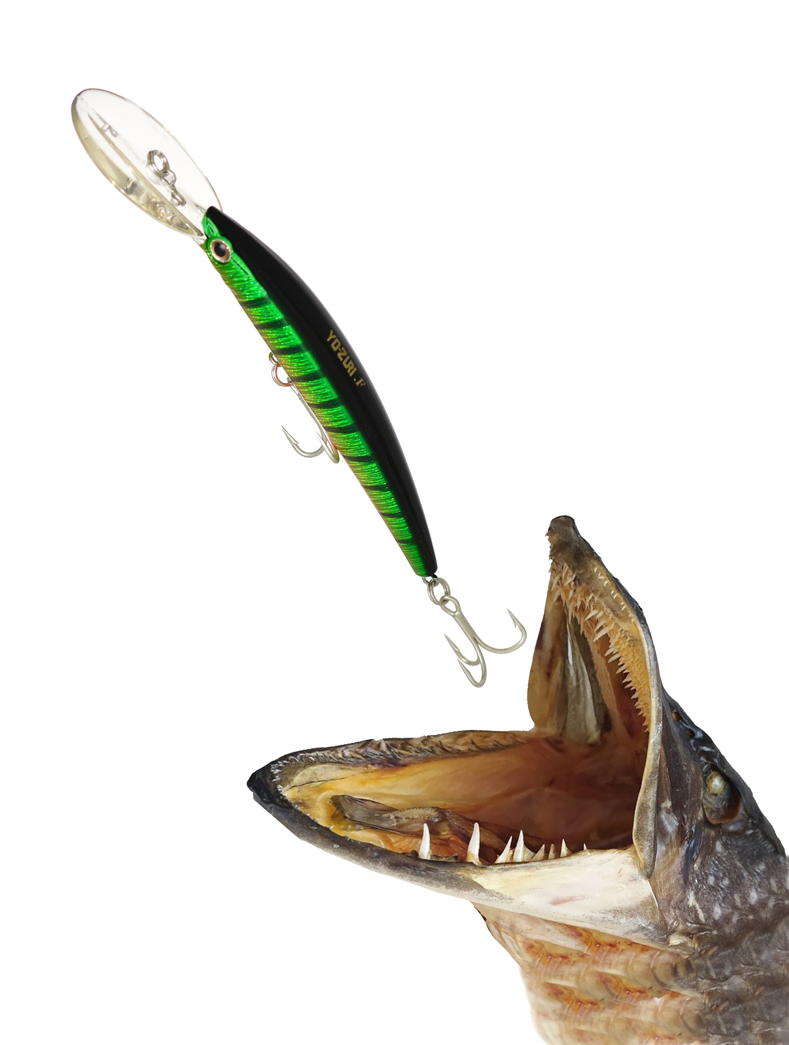 Crystal Minnow DD F-1012 PC - фото2