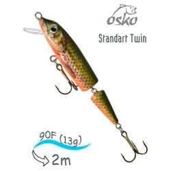 OFST09-10 Standart Twin - фото