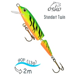 OFST09-21 Standart Twin - фото