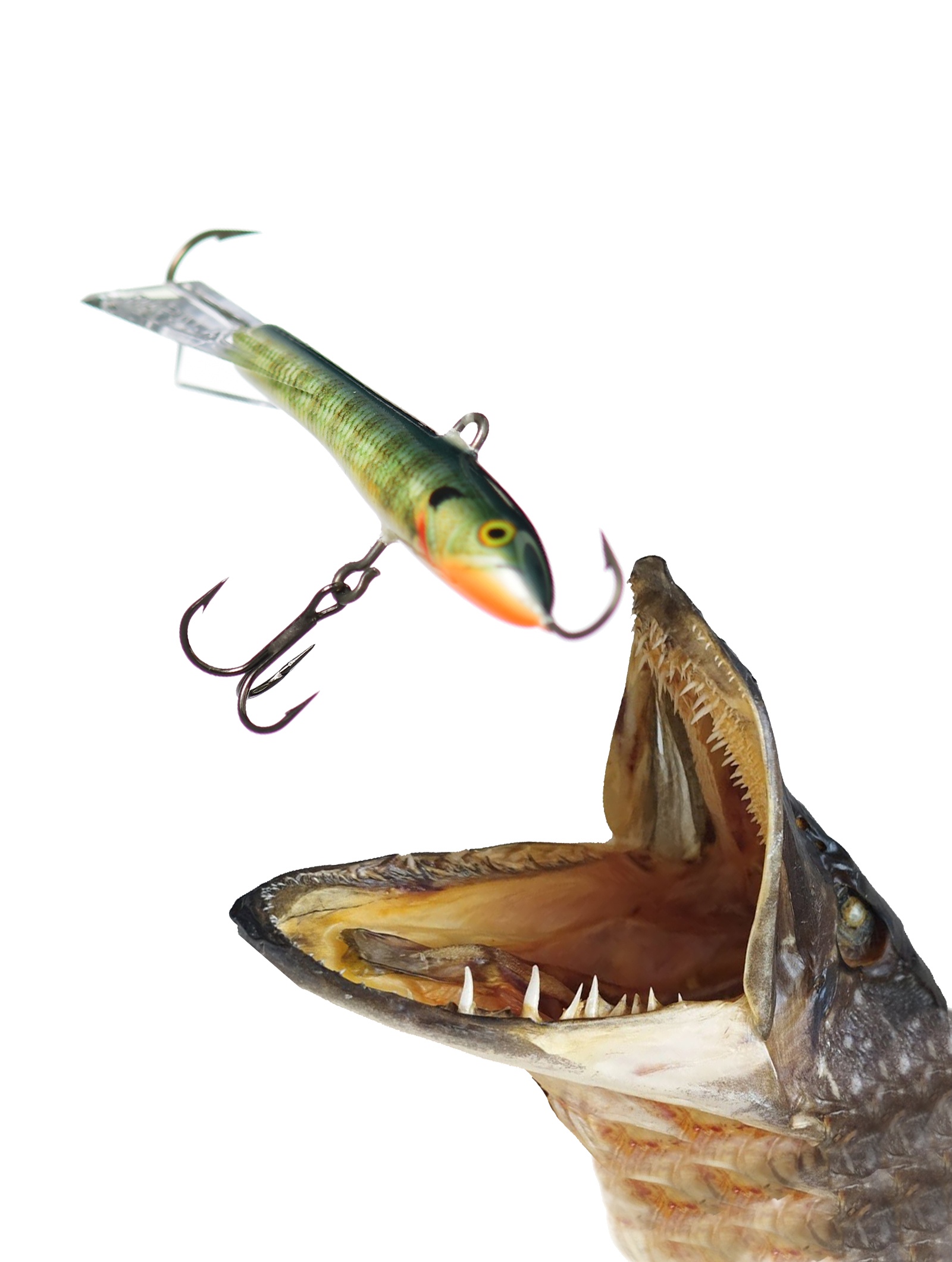 Jigging Rap W07 BG - фото2