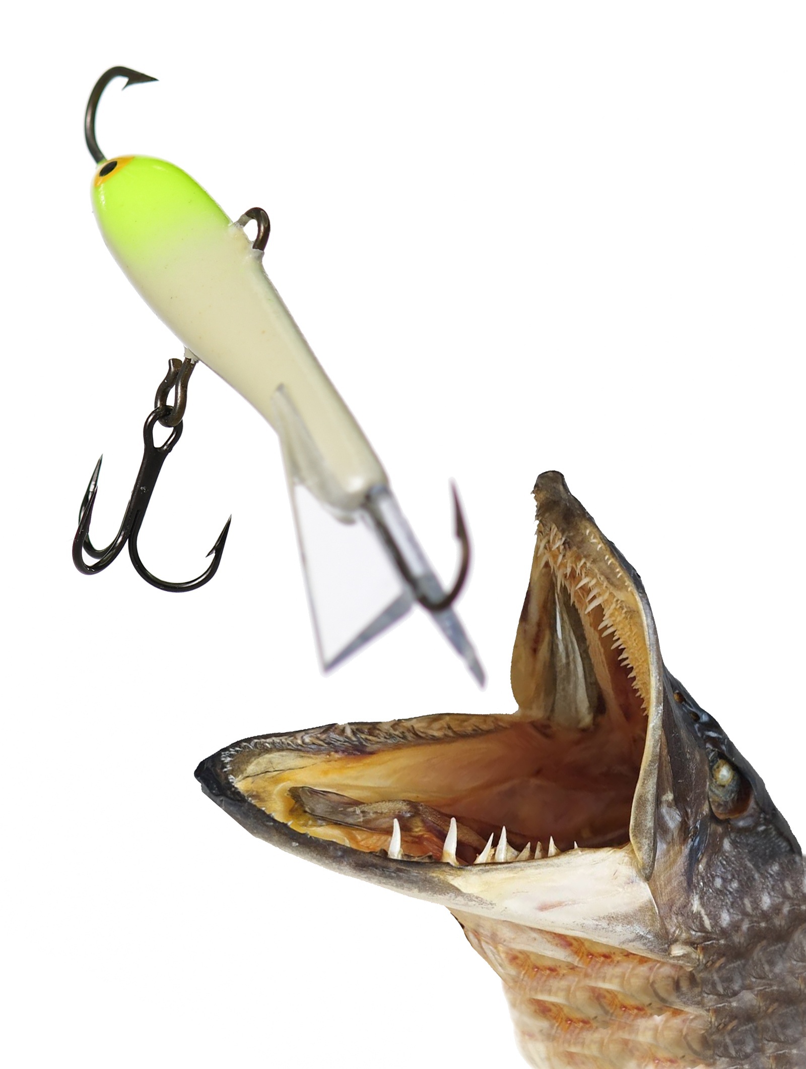 Jigging Rap W09 GL (Glow) - фото2