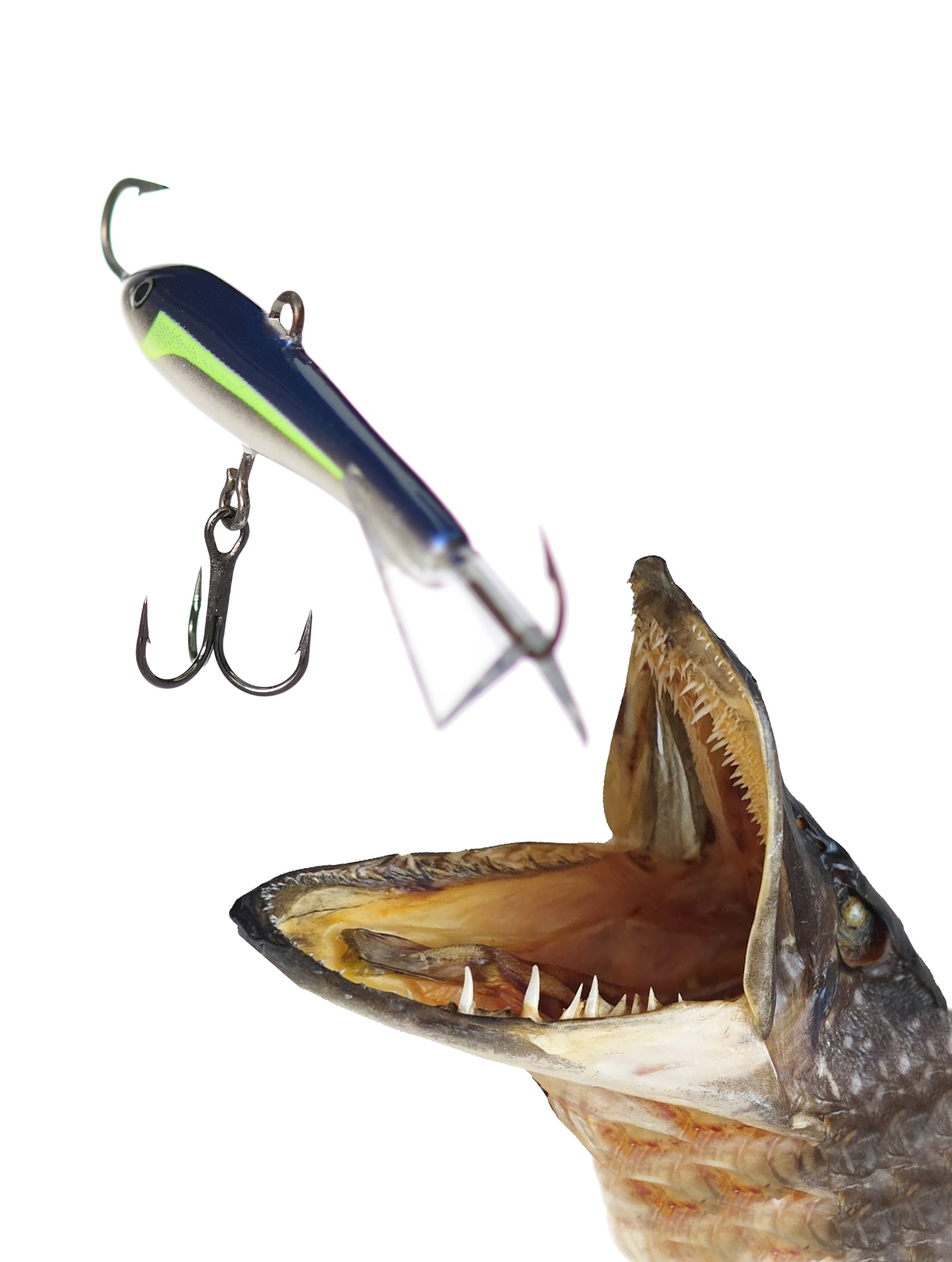 Jigging Rap W07 HSD - фото2