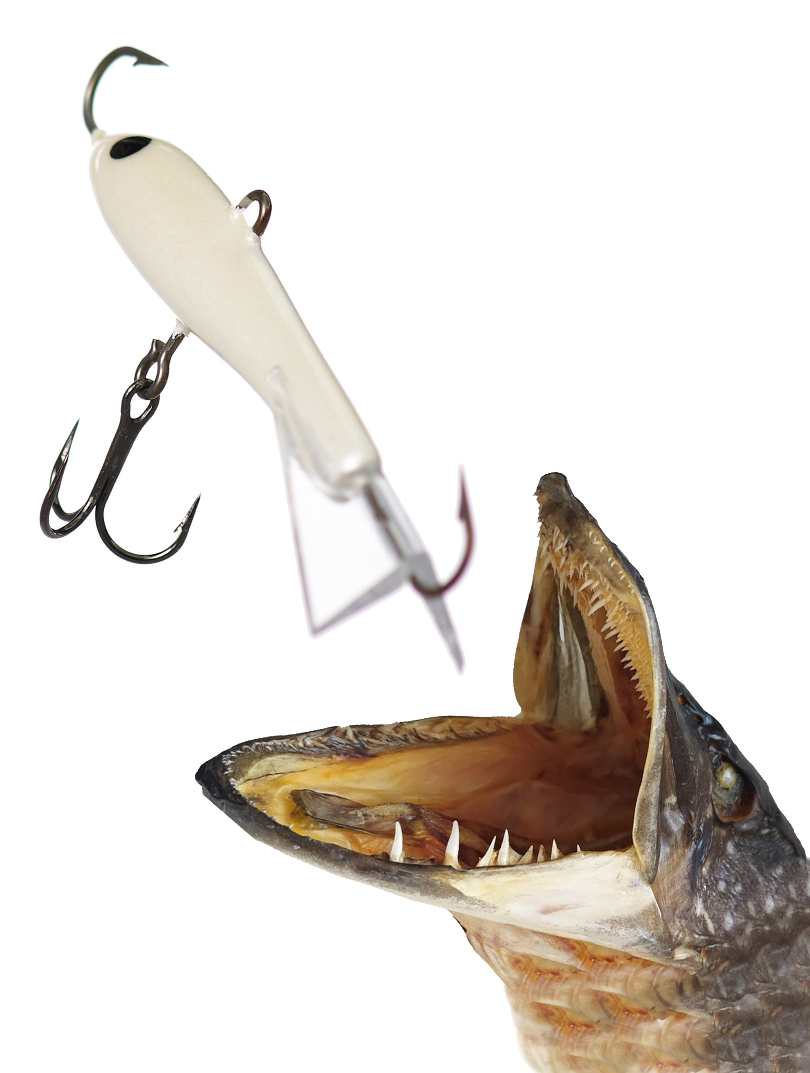 Jigging Rap W07 PW - фото2