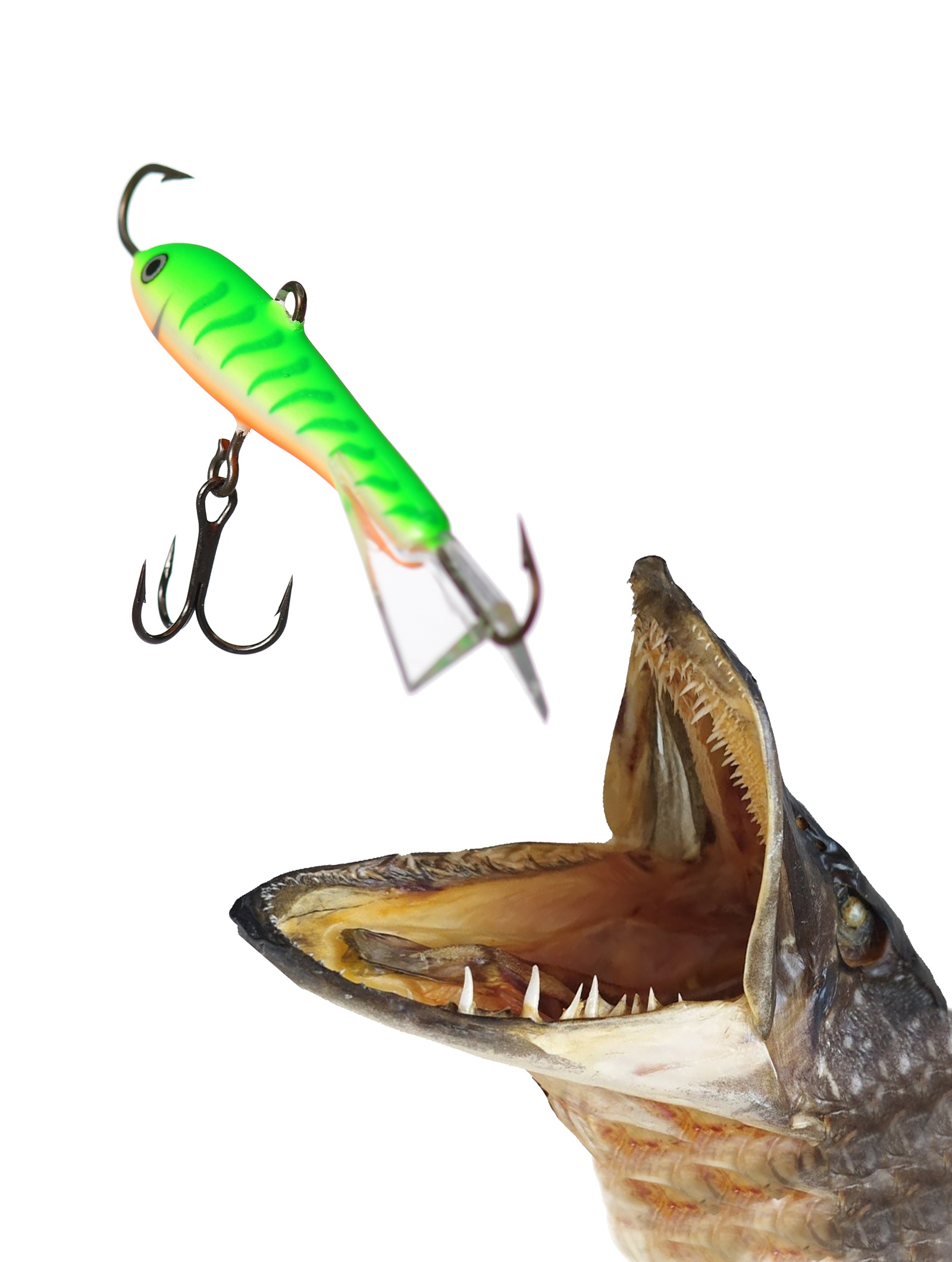 Jigging Rap W07 GTU - фото2