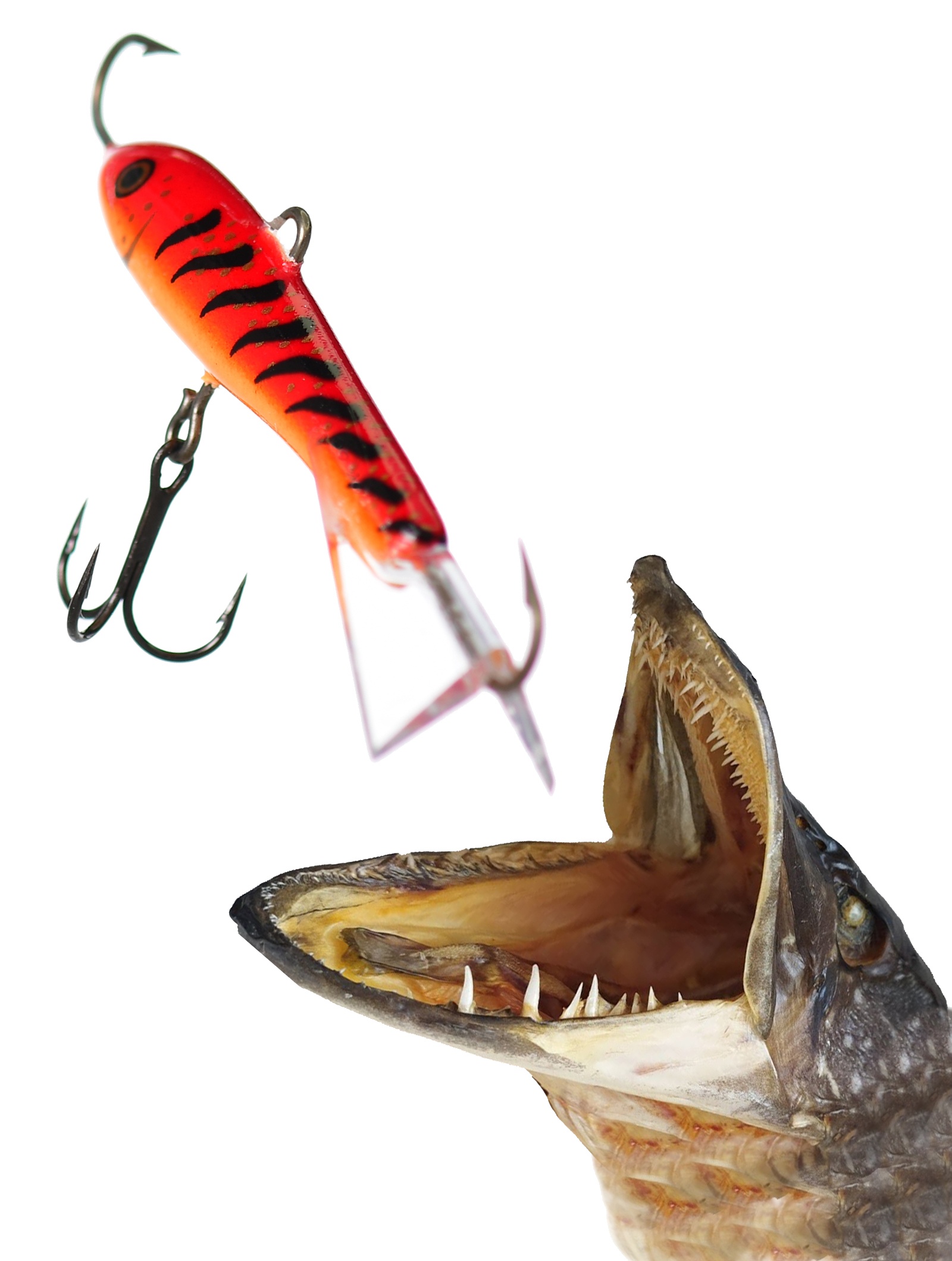 Jigging Rap W07 GRT Glow - фото2