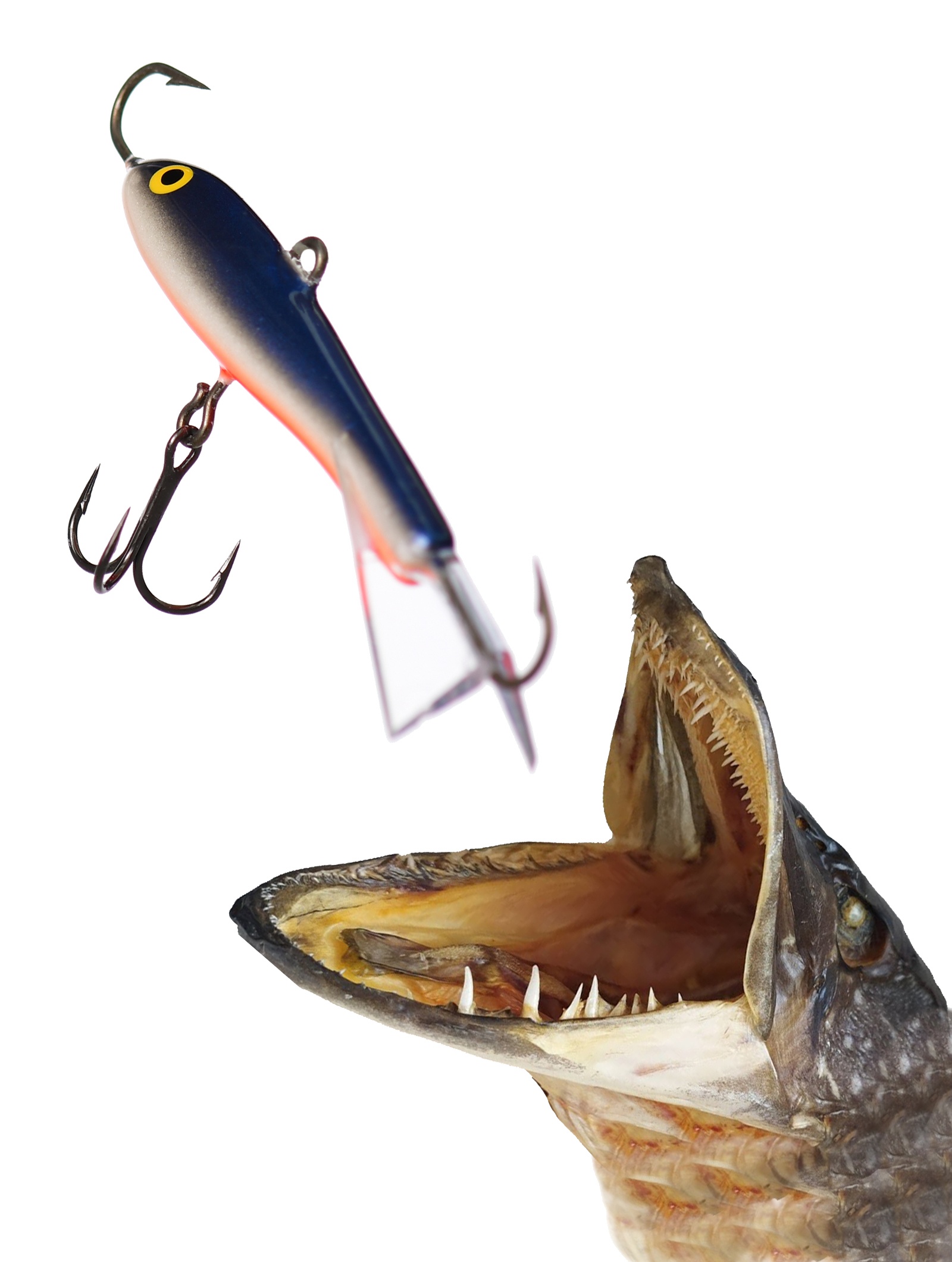 Jigging Rap W07 SSD - фото2