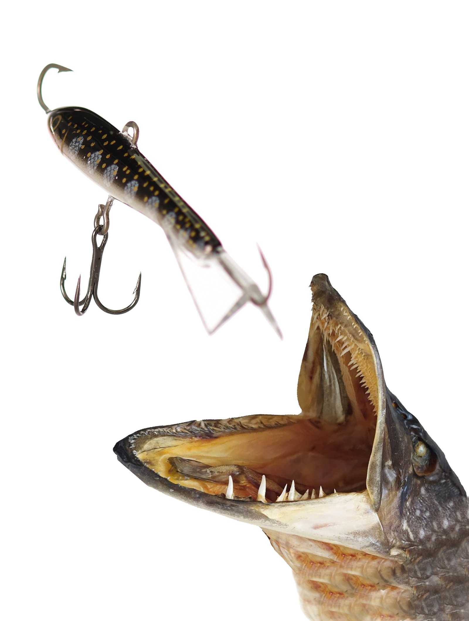 Jigging Rap W07 MS - фото2