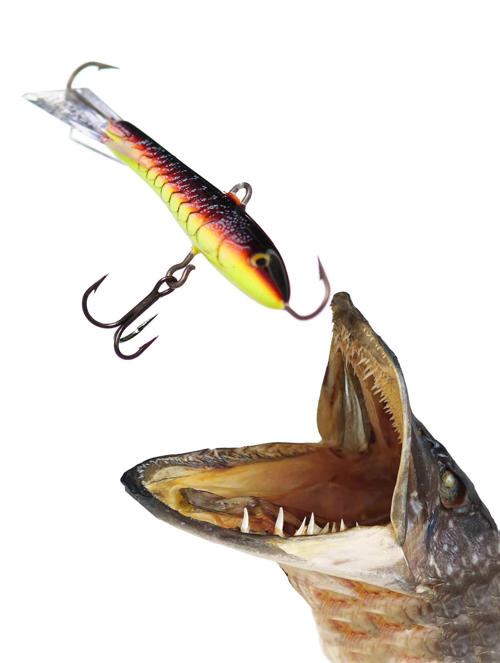 Jigging Rap W05 RFCW - фото2